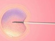 西安试管成功怀孕后饮食上要注意什么，营养家常菜推荐