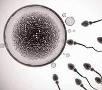 郑州试管婴儿医院排名及医生推荐榜单发布！优质试管服务行业前沿